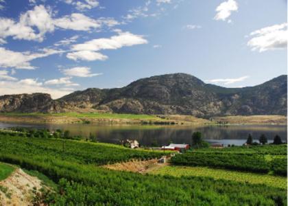 Ciliegia Villa Osoyoos Buitenkant foto